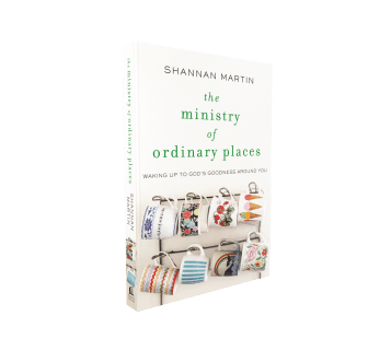 Ministry-of-Ordinary-Places-spine-out-3D
